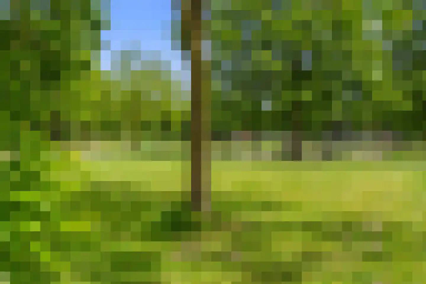 Staatsspoor 45 Houten thumbnail 53