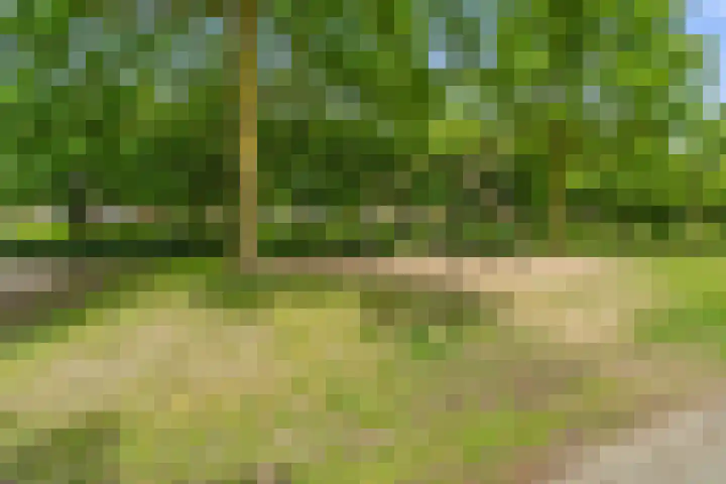 Staatsspoor 45 Houten thumbnail 54