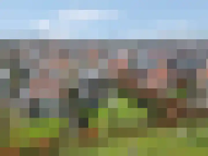 Staatsspoor 53 Arnhem thumbnail 19