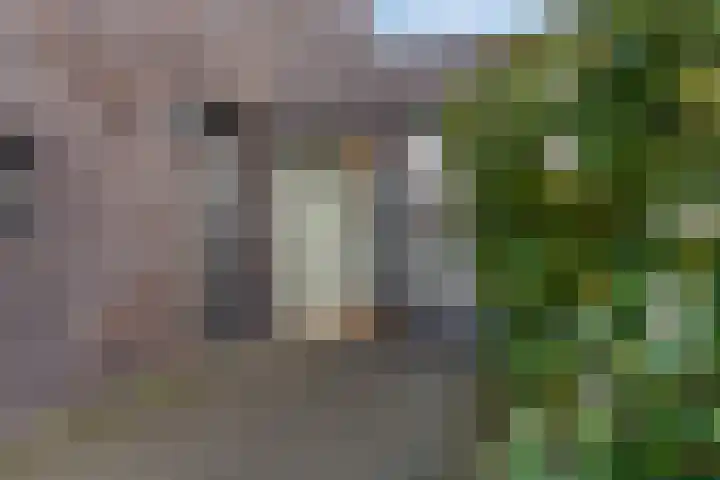 Staatsspoor 53 Arnhem thumbnail 22