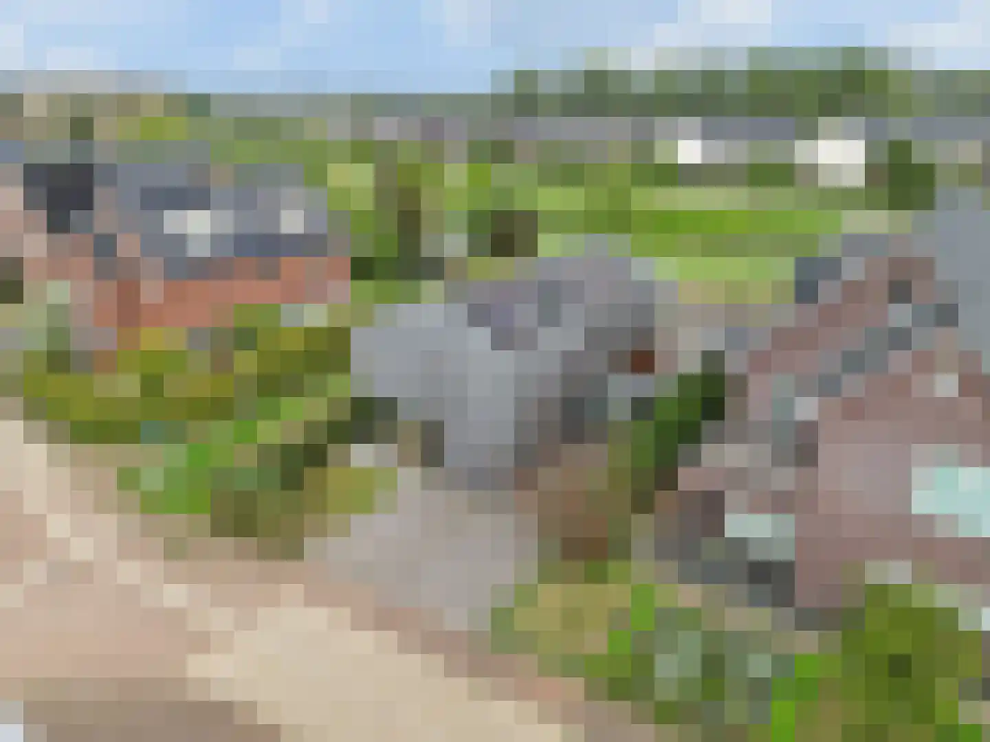 Staatsspoor 53 Arnhem thumbnail 25