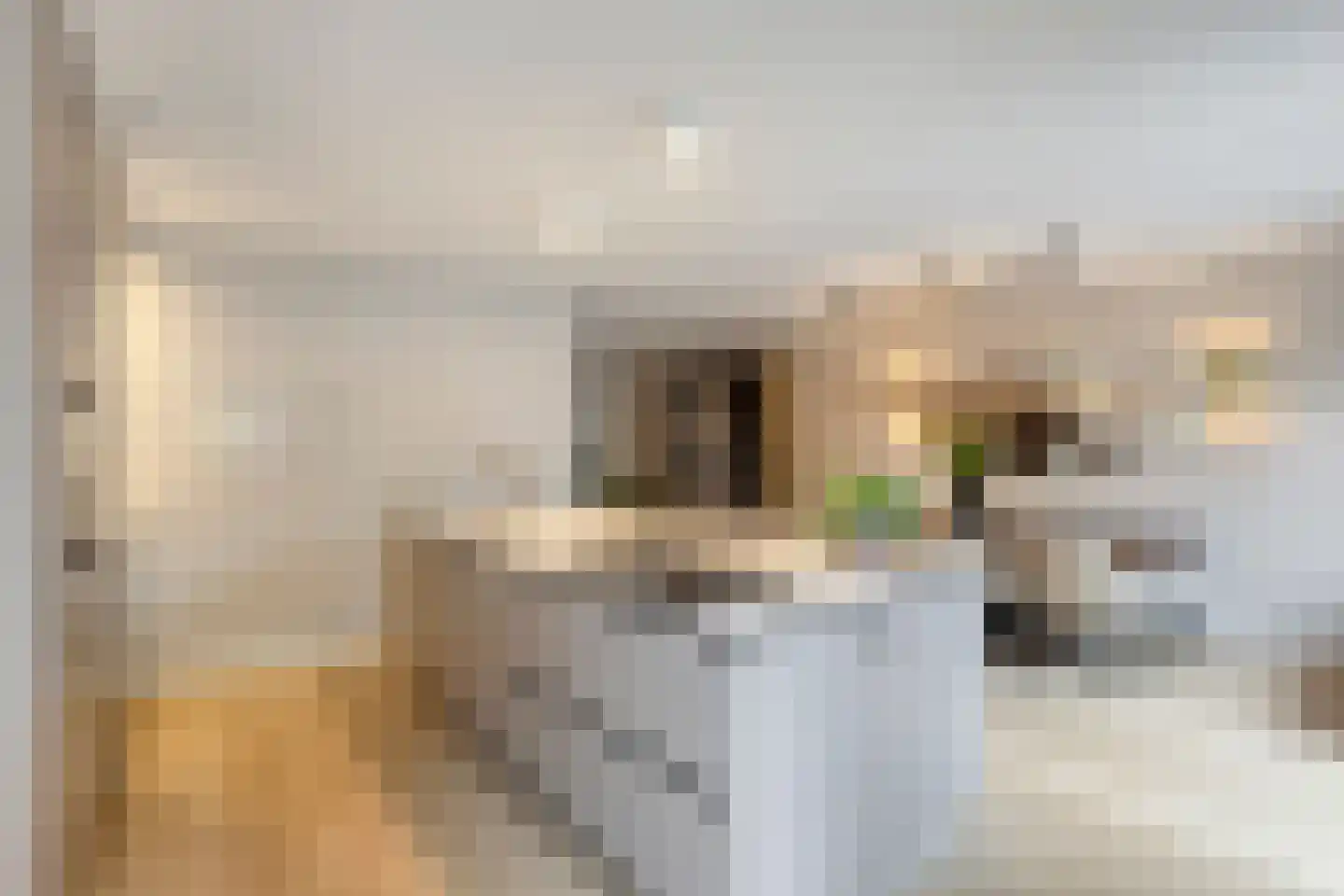 Staccatostraat 11 Rosmalen thumbnail 11
