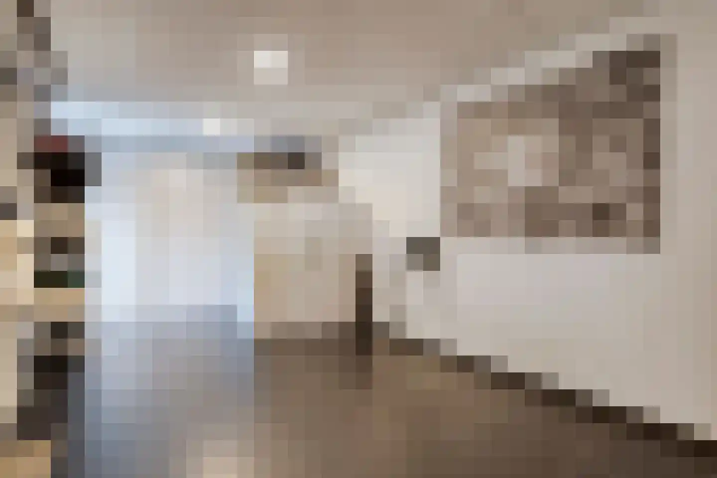 Staccatostraat 11 Rosmalen thumbnail 20