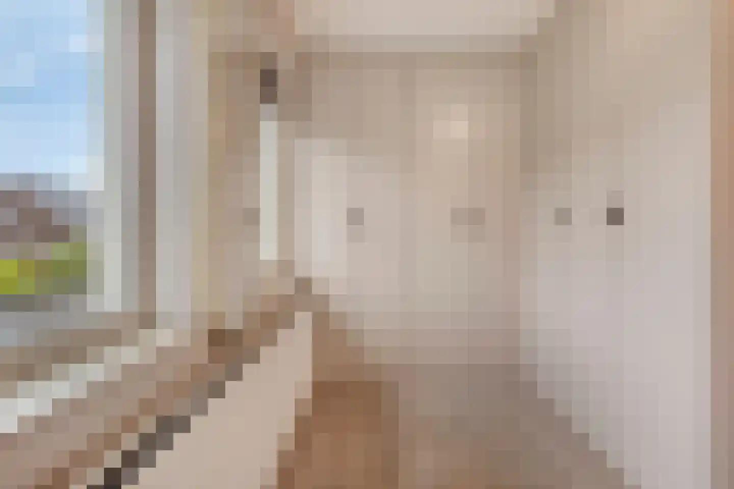 Staccatostraat 11 Rosmalen thumbnail 32