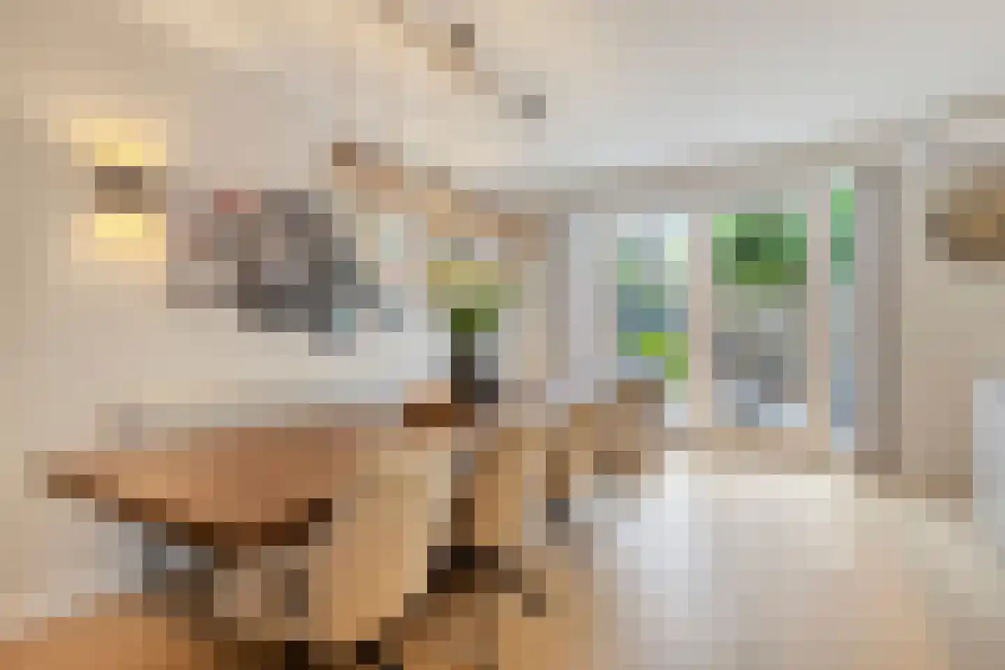 Staccatostraat 11 Rosmalen thumbnail 6