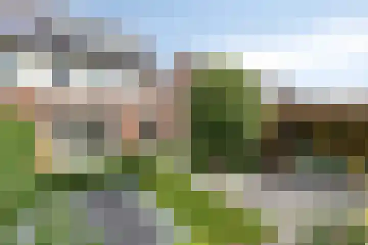 Staccatostraat 13 Rosmalen thumbnail 37