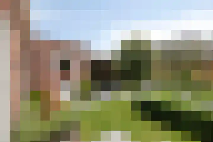 Staccatostraat 13 Rosmalen thumbnail 40