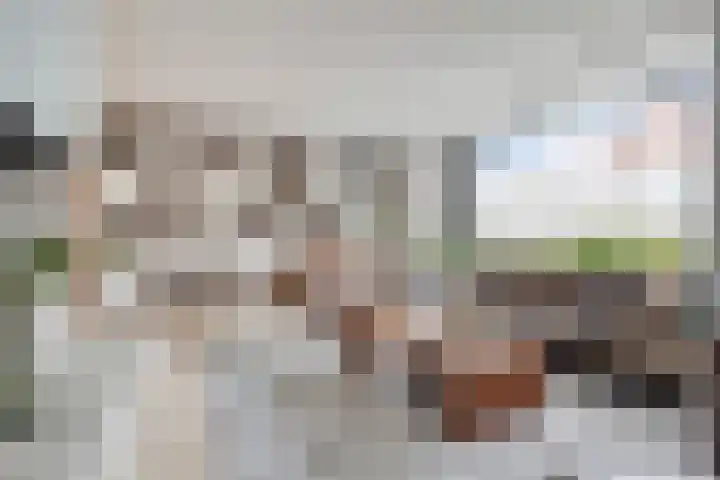 Staccatostraat 13 Rosmalen thumbnail 5