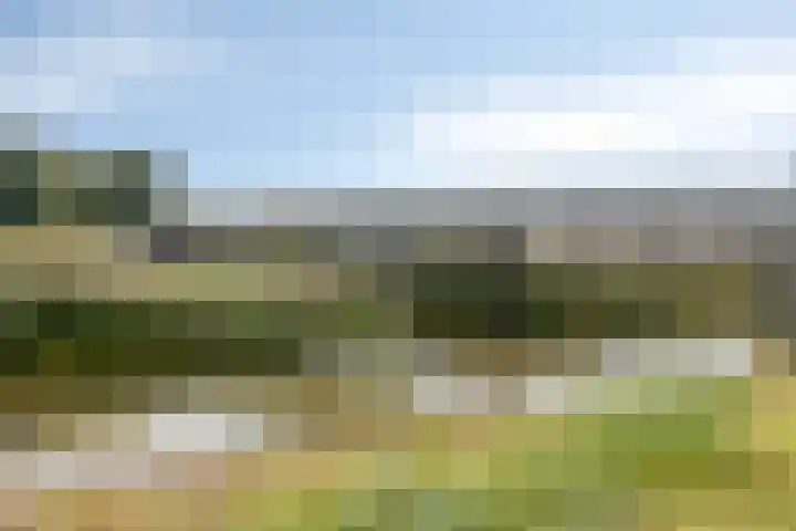 Staccatostraat 13 Rosmalen thumbnail 51