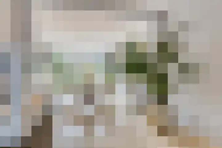 Staccatostraat 13 Rosmalen thumbnail 6