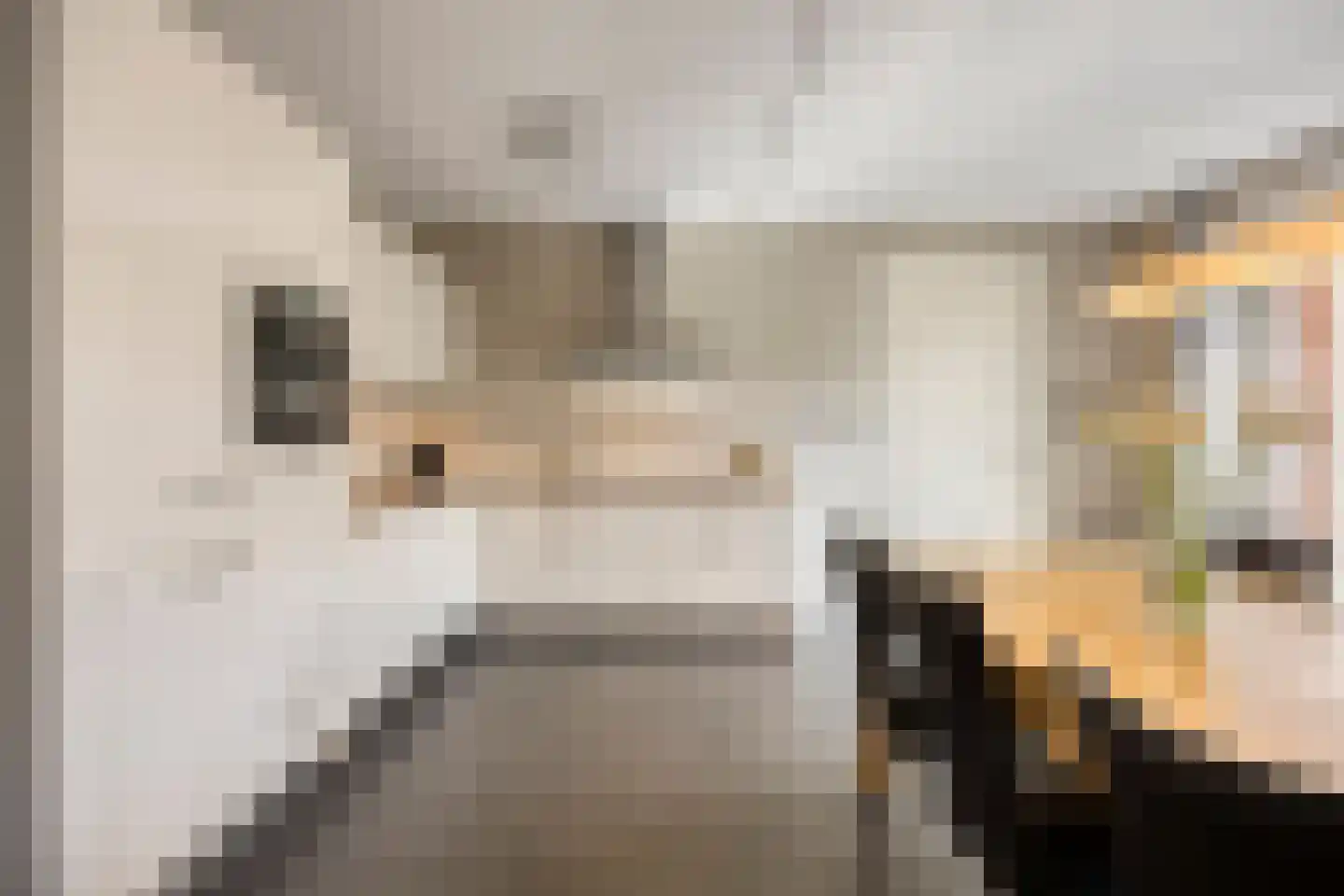 Staccatostraat 25 Rosmalen thumbnail 15