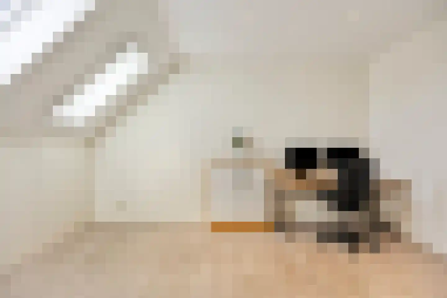 Staccatostraat 25 Rosmalen thumbnail 38