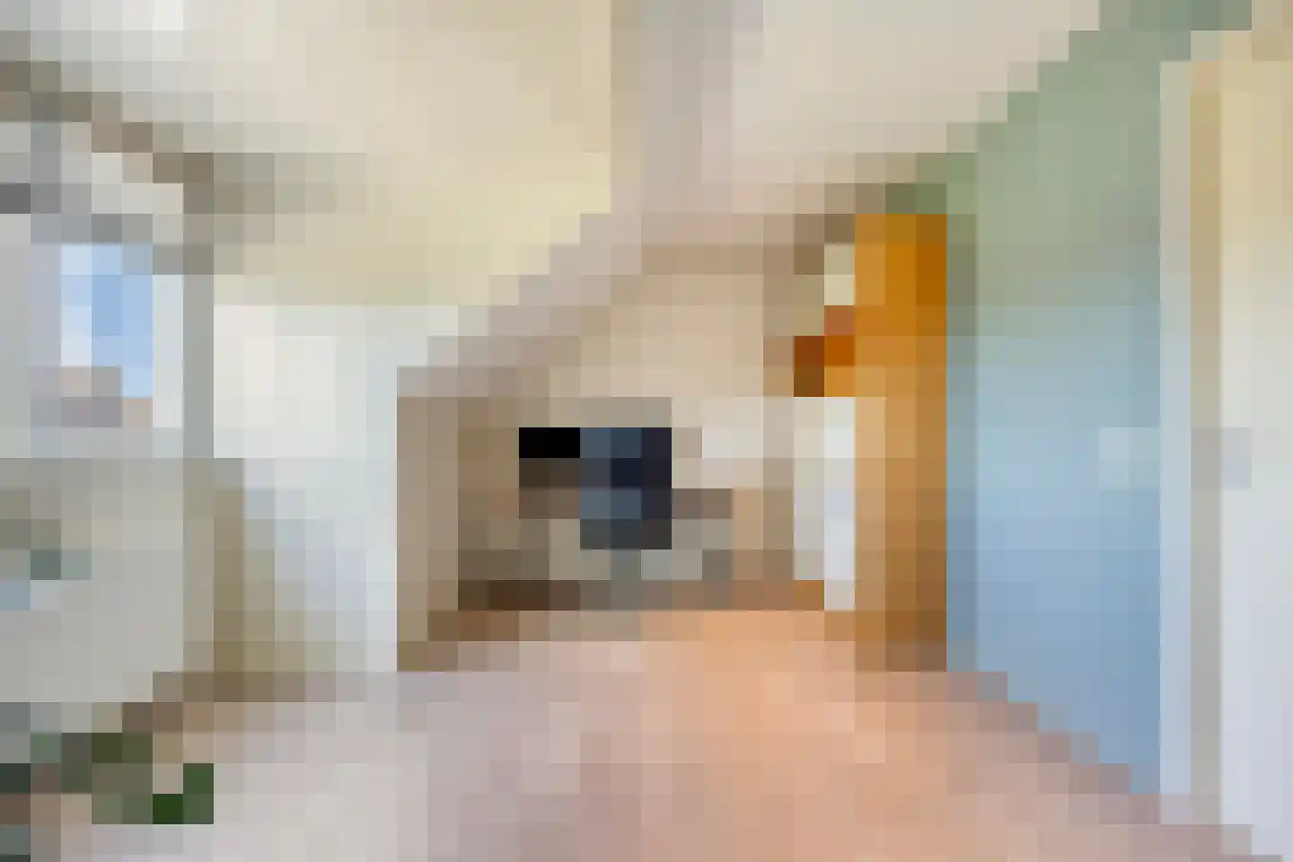 Staccatostraat 25 Rosmalen thumbnail 39