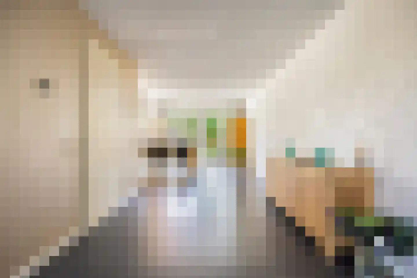 Staccatostraat 25 Rosmalen thumbnail 8