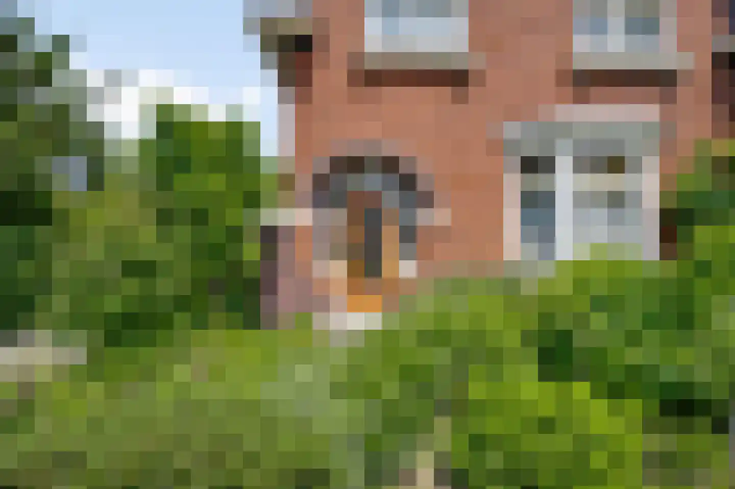 Stad 18 Ospel foto 3