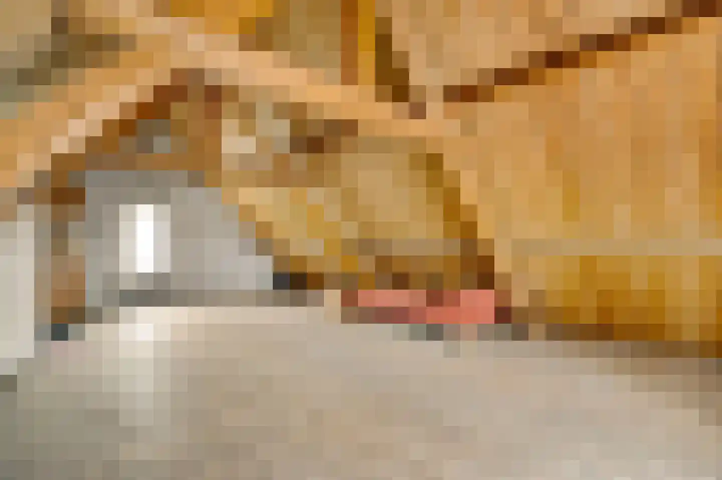 Stad 18 Ospel thumbnail 32