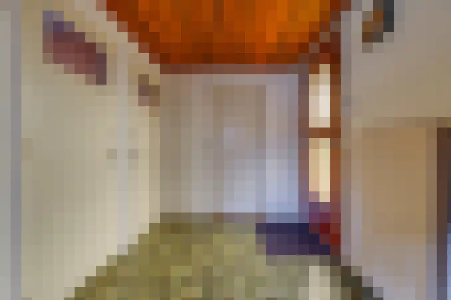 Stad 51 Roswinkel thumbnail 22