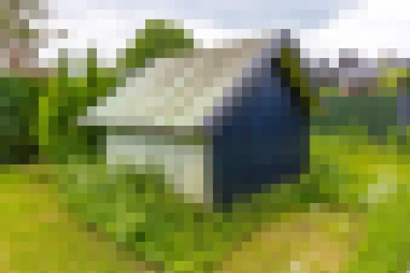 Stad 51 Roswinkel thumbnail 45