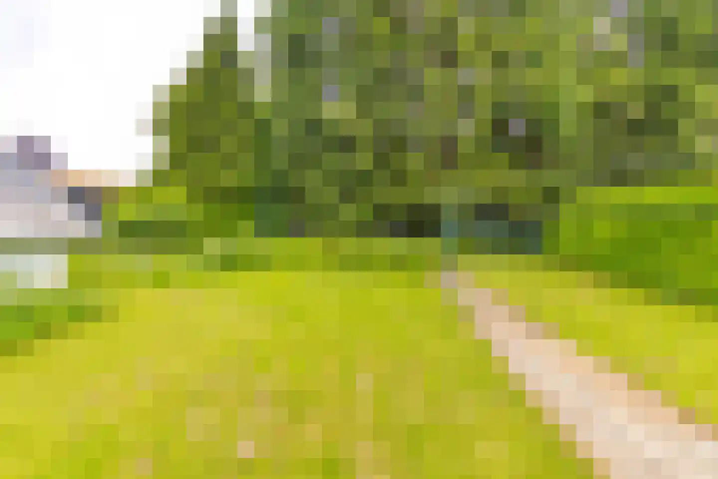 Stad 51 Roswinkel thumbnail 46