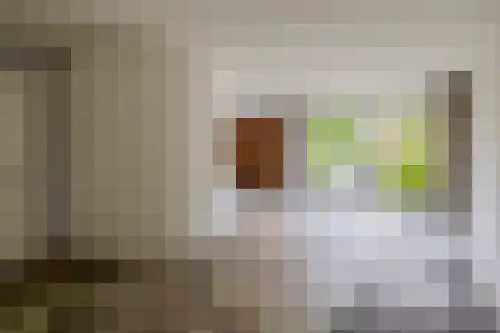 Stad en Landschap 46 Krimpen aan den IJssel thumbnail 12