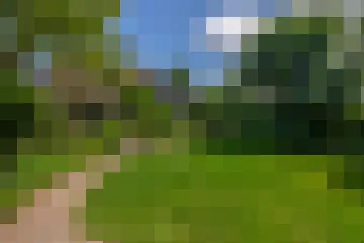 Stad en Landschap 46 Krimpen aan den IJssel thumbnail 4