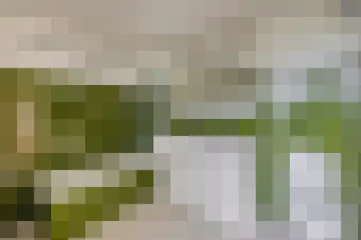 Stad en Landschap 46 Krimpen aan den IJssel thumbnail 40