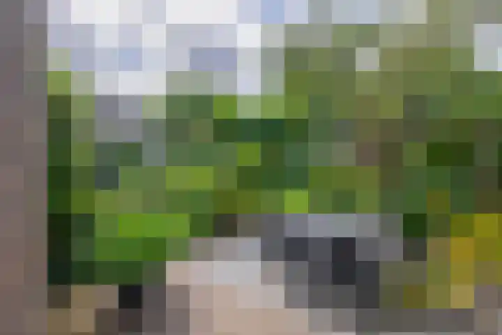 Stad en Landschap 46 Krimpen aan den IJssel thumbnail 49