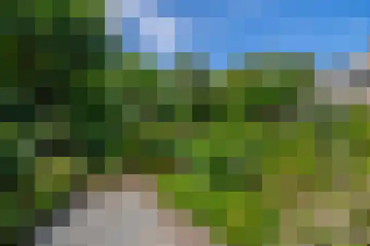 Stad en Landschap 46 Krimpen aan den IJssel thumbnail 50
