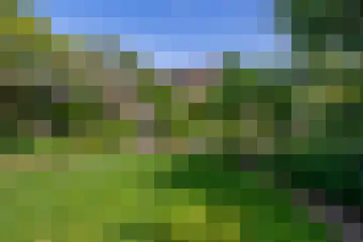 Stad en Landschap 46 Krimpen aan den IJssel thumbnail 51