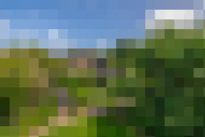 Stad en Landschap 46 Krimpen aan den IJssel thumbnail 52