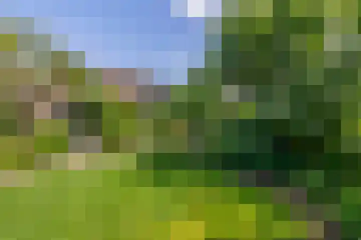 Stad en Landschap 46 Krimpen aan den IJssel thumbnail 53