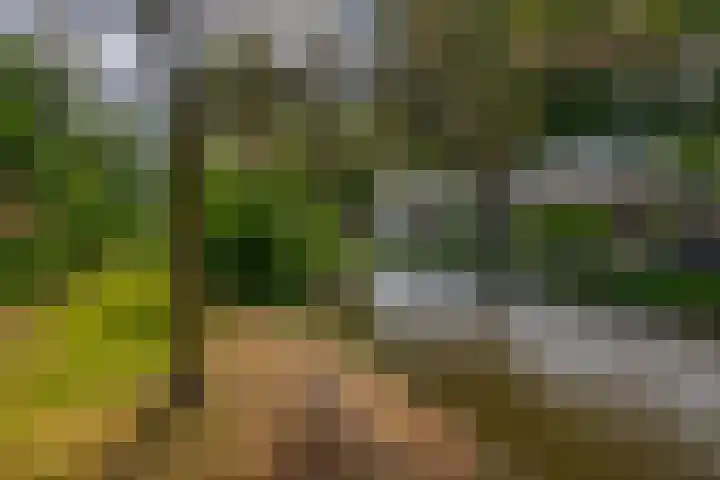 Stad en Landschap 46 Krimpen aan den IJssel thumbnail 55
