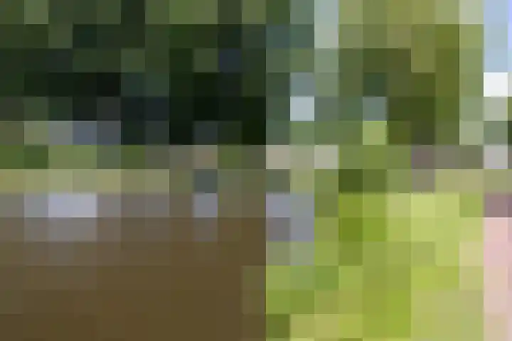 Stad en Landschap 46 Krimpen aan den IJssel thumbnail 58
