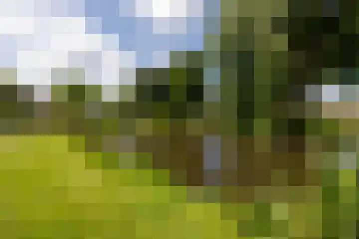 Stad en Landschap 46 Krimpen aan den IJssel thumbnail 59