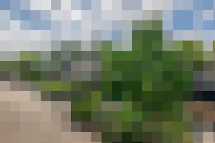 Stad en Landschap 46 Krimpen aan den IJssel thumbnail 6