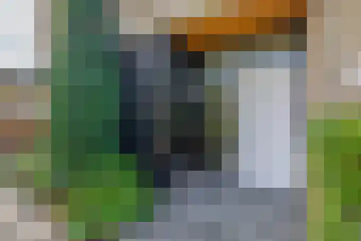 Stad en Landschap 46 Krimpen aan den IJssel thumbnail 9