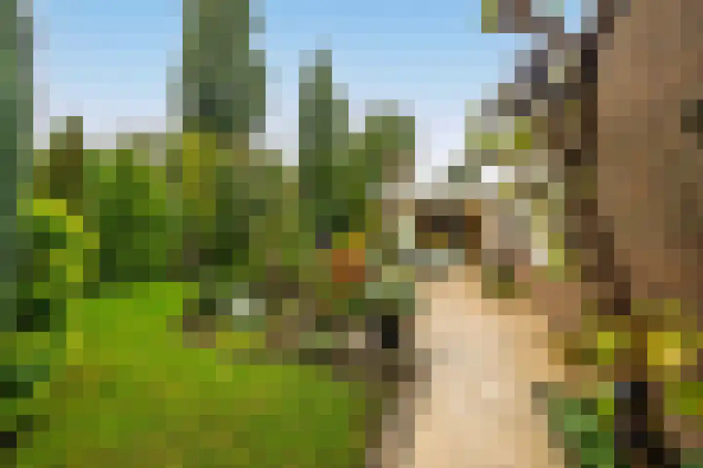 Stad en Landschap 58 Krimpen aan den IJssel thumbnail 39