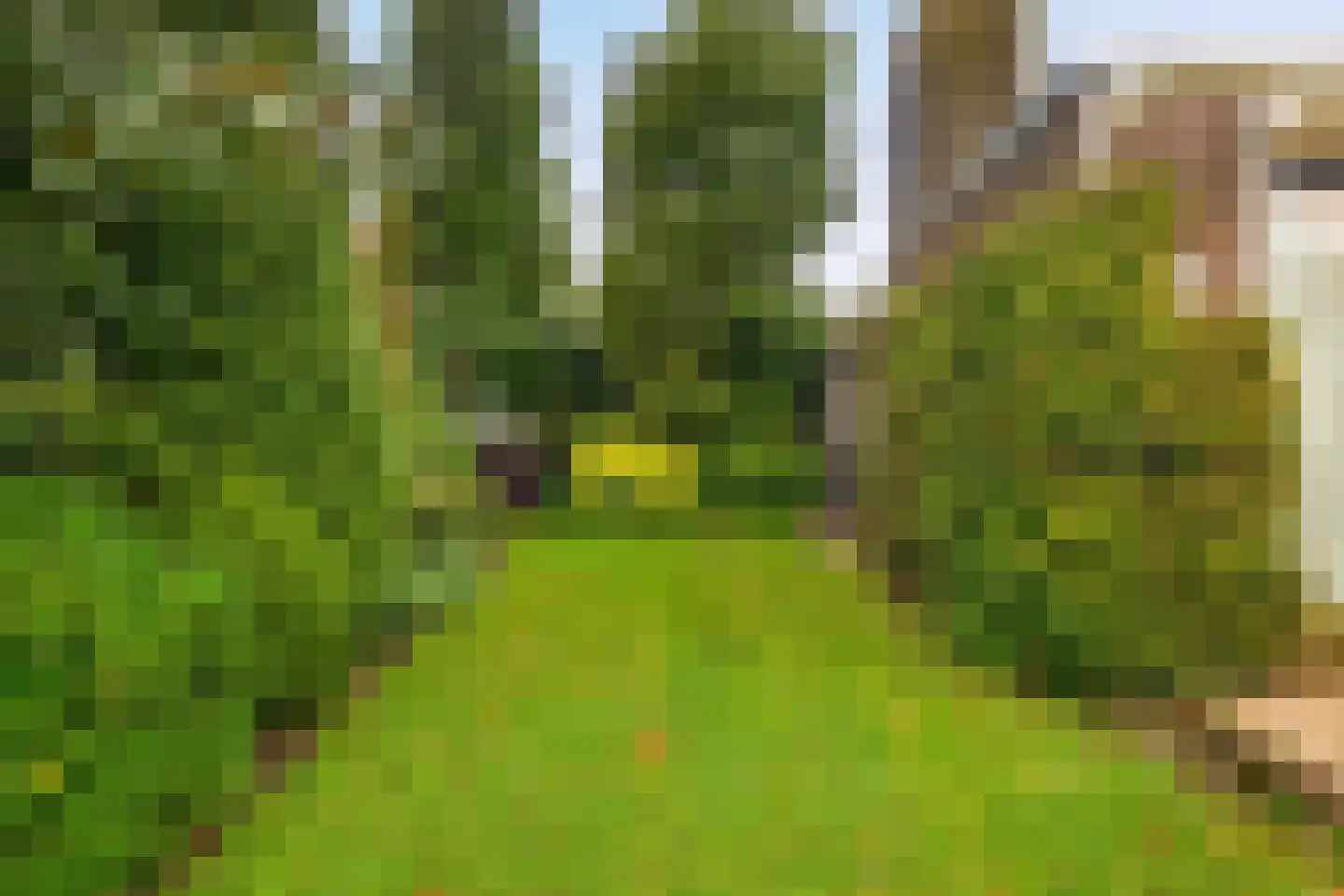 Stad en Landschap 58 Krimpen aan den IJssel thumbnail 41