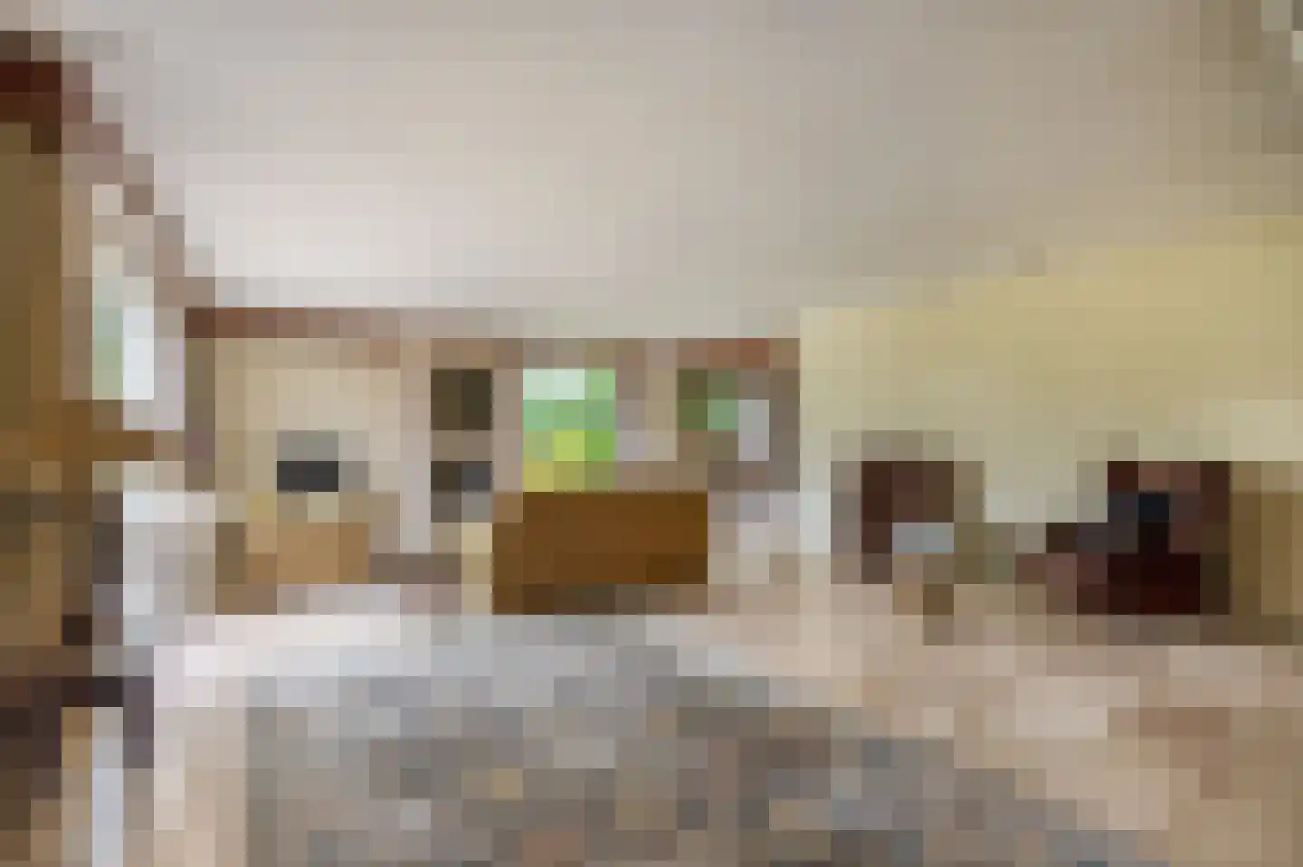 Stad en Landschap 58 Krimpen aan den IJssel thumbnail 6