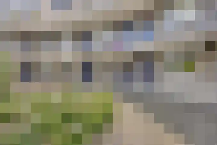 Stadburen 33 Nijelamer thumbnail 19