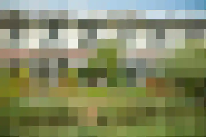 Stade de Colombes 68 Amsterdam thumbnail 22