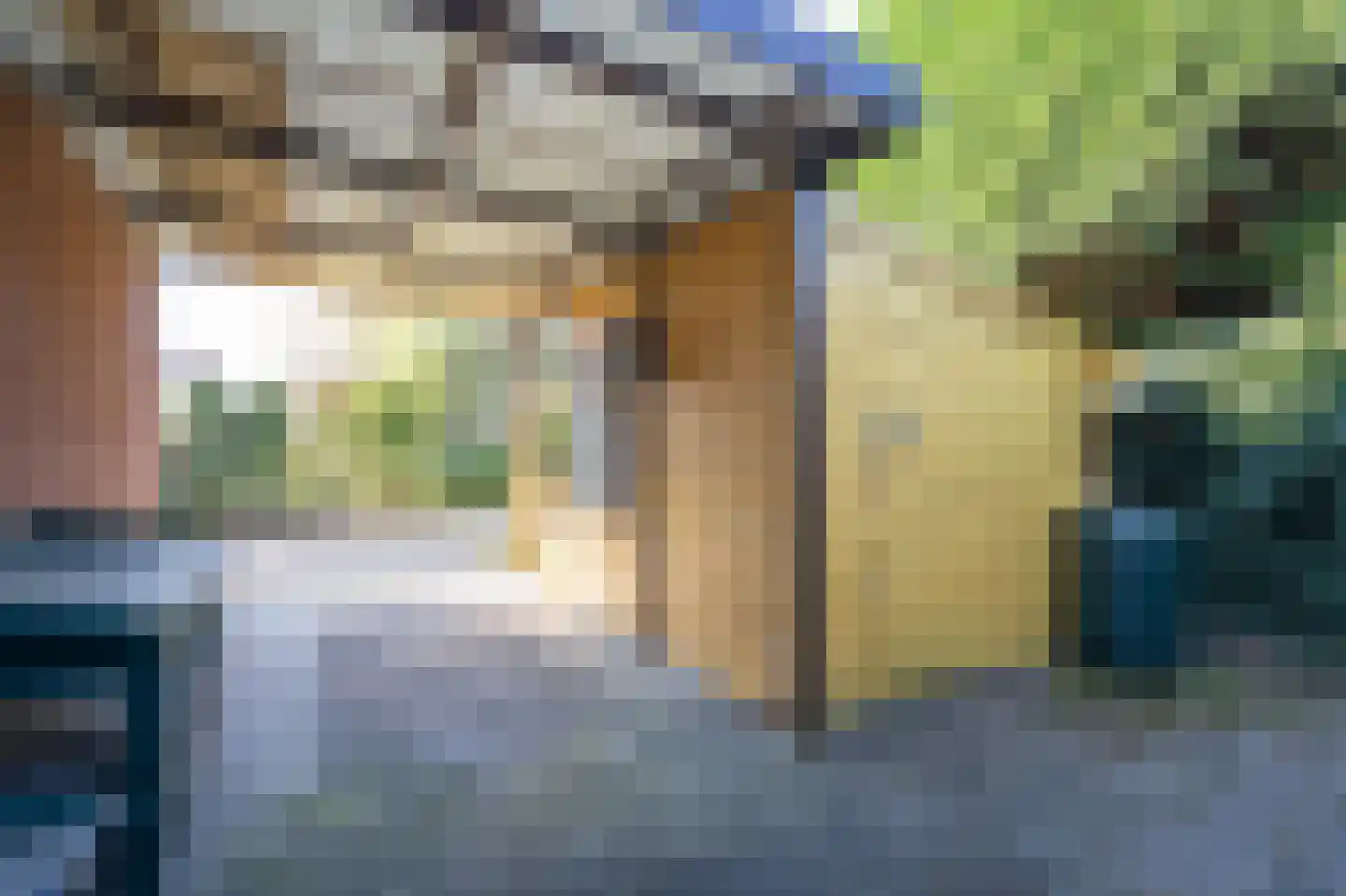 Stadhouder Janstraat 9 Leerdam thumbnail 47