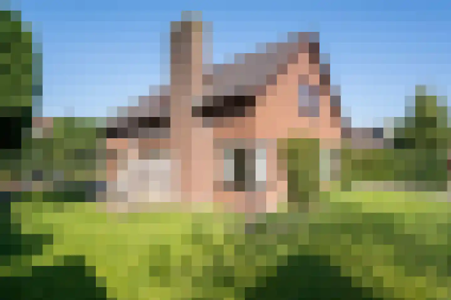 Stadhouder Janstraat 9 Leerdam thumbnail 52