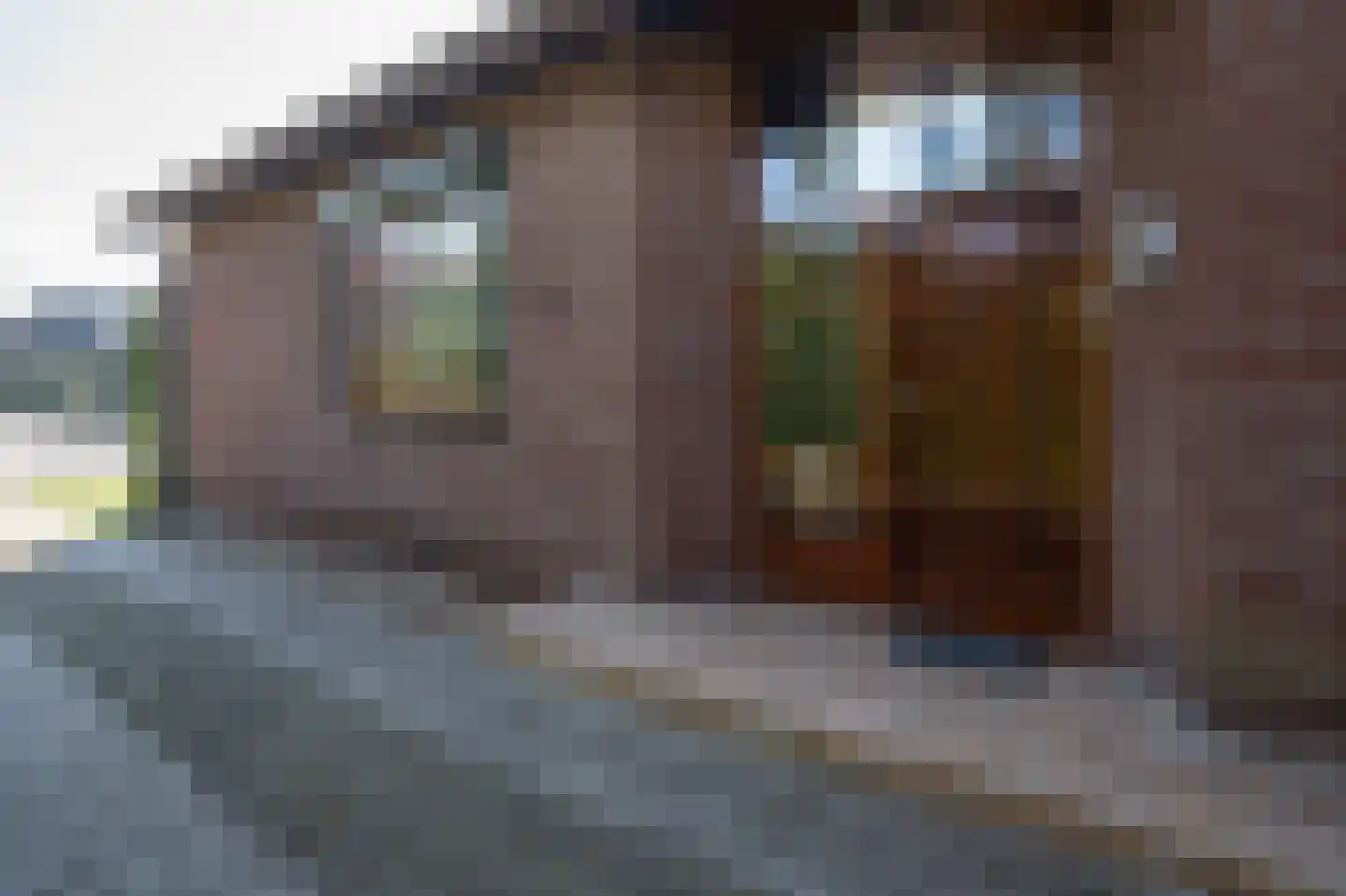 Stadhouder Janstraat 9 Leerdam thumbnail 6