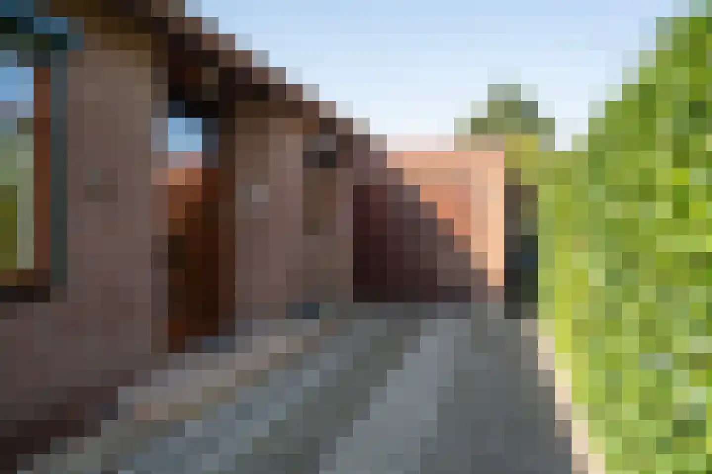 Stadhouder Janstraat 9 Leerdam thumbnail 7