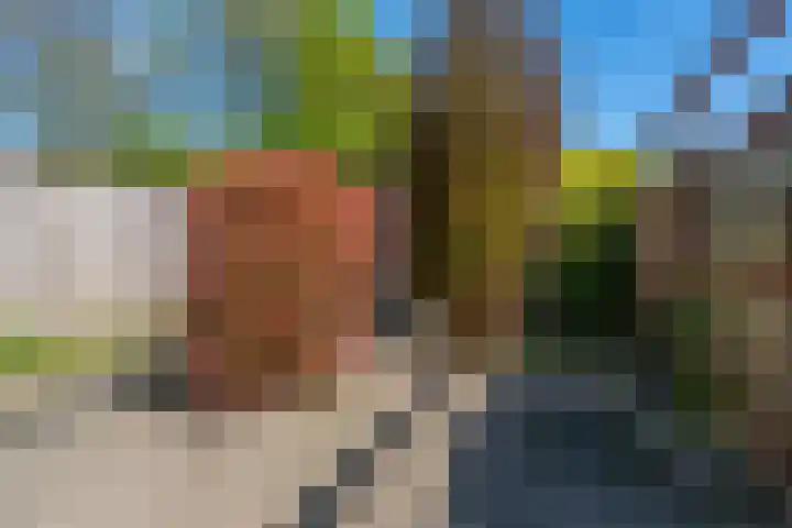 Stadhouderlaan 12 Mijdrecht thumbnail 11