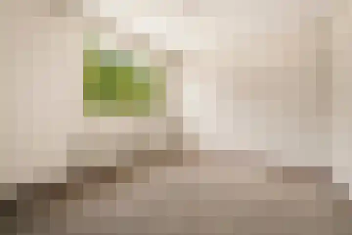 Stadhouderlaan 12 Mijdrecht thumbnail 21