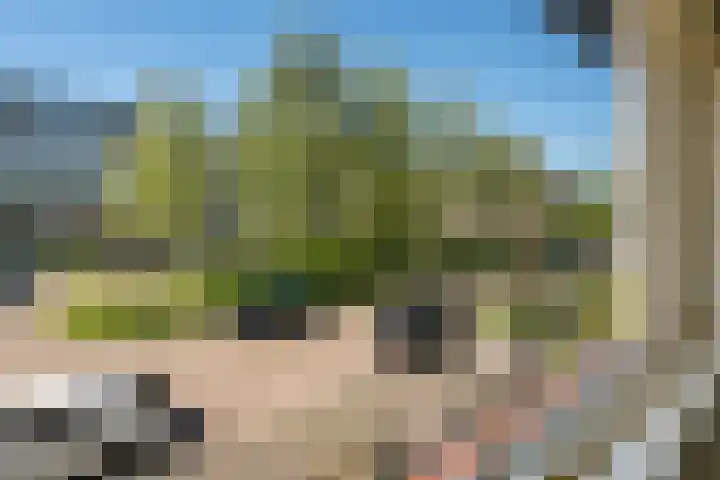 Stadhouderlaan 12 Mijdrecht thumbnail 24