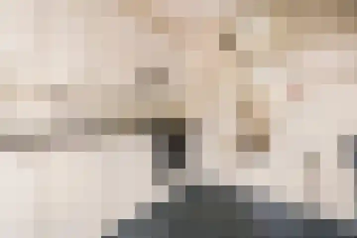 Stadhouderlaan 12 Mijdrecht thumbnail 8
