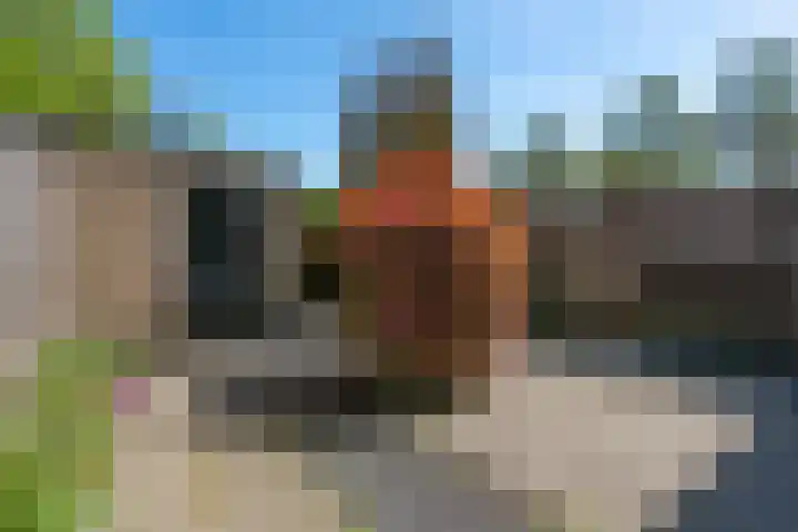 Stadhouderlaan 12 Mijdrecht thumbnail 9